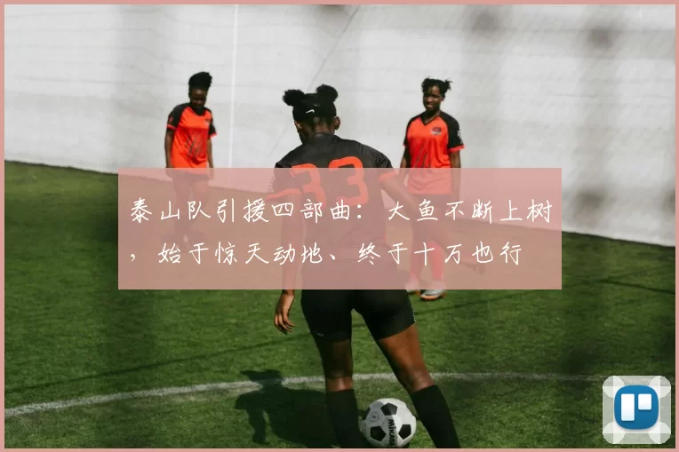 泰山队引援四部曲：大鱼不断上树，始于惊天动地、终于十万也行