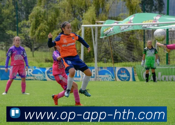 多媒体互动体验