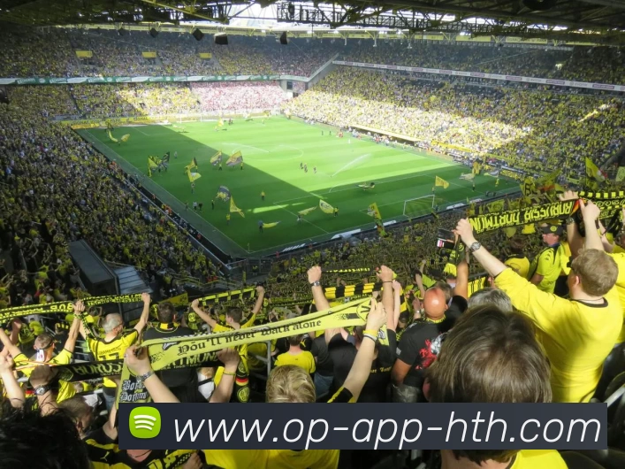 华体会APP 高清赛事图